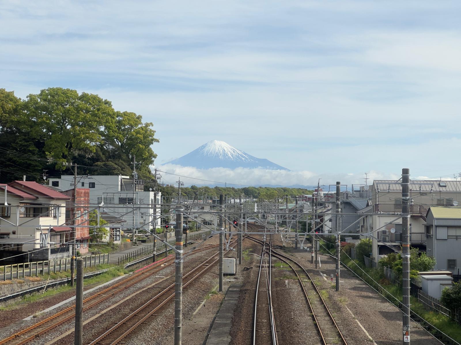 Scenic Railway